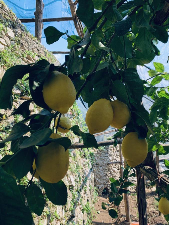 Il Giardino Dorato Villa Maiori Kültér fotó