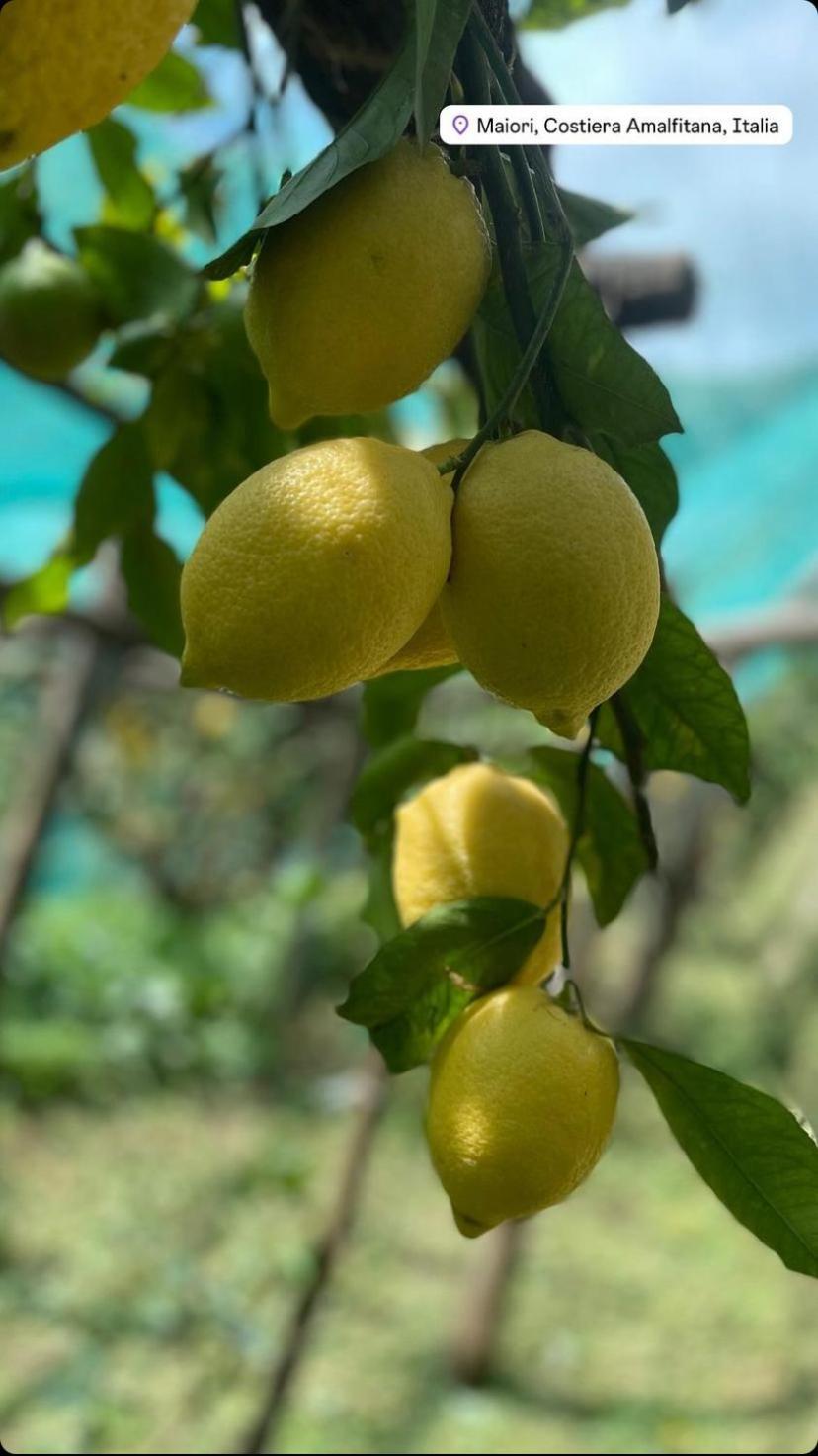 Il Giardino Dorato Villa Maiori Kültér fotó