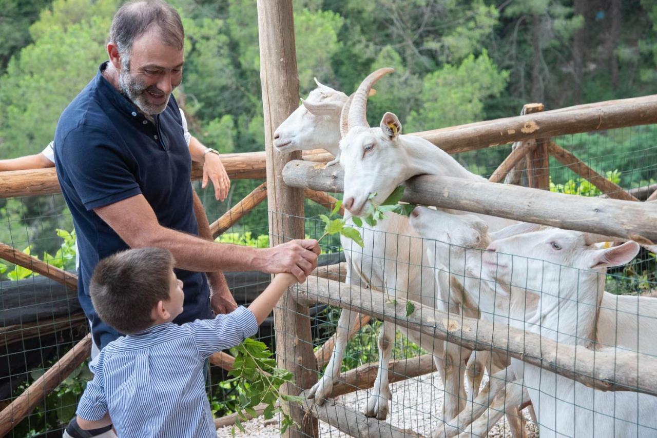Il Giardino Dorato Villa Maiori Kültér fotó